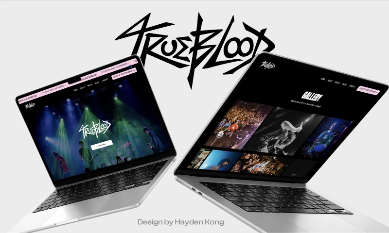 PixelVerseIT - Trueblood Website