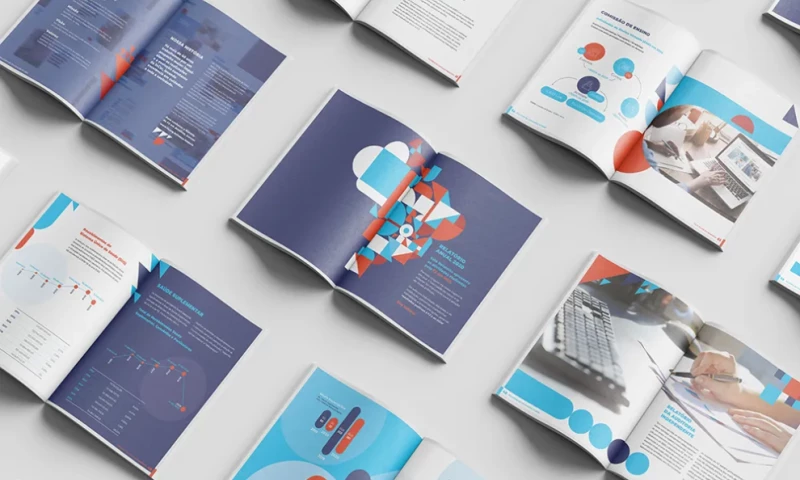 Felippe Piccolo - Annual Report 2020 FZ