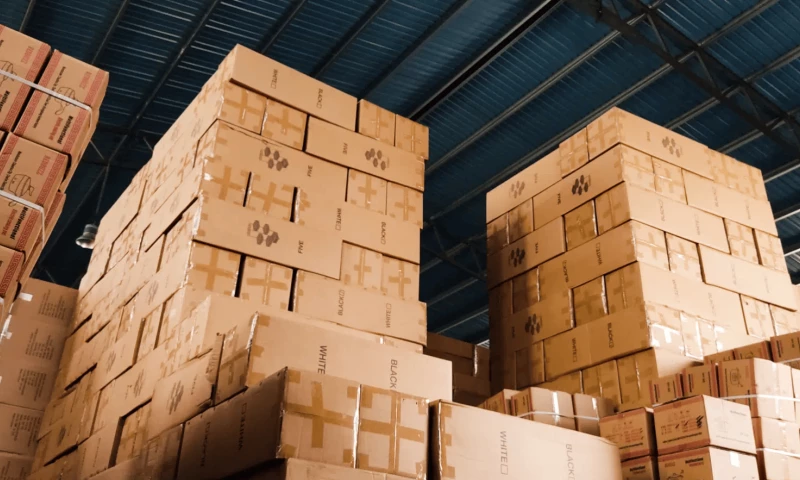 Established End-of-Line Packaging Solutions Provider