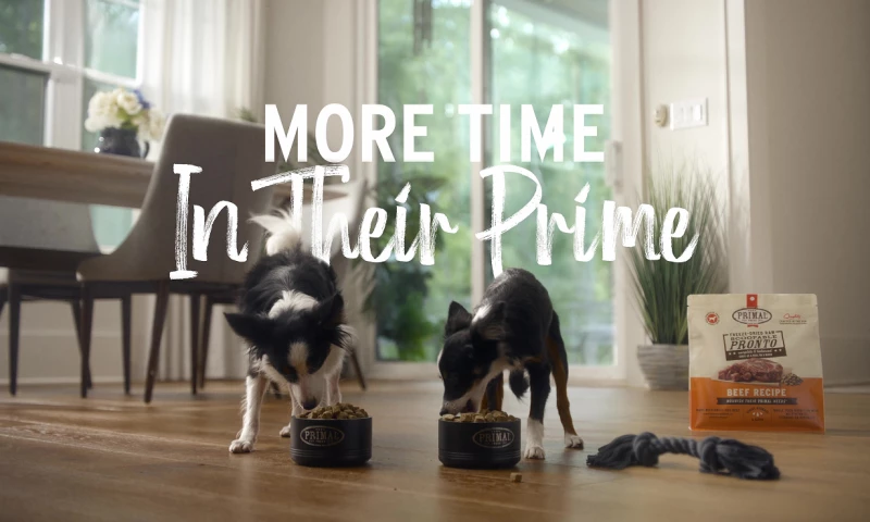 More Time In Their Prime - Primal