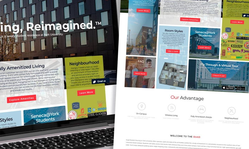 dNOVO - Digital Marketing & SEO Agency - The Quad At York