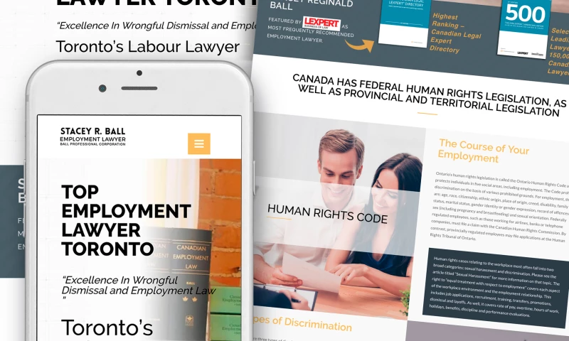 Stacey R. Ball Employment Lawyer