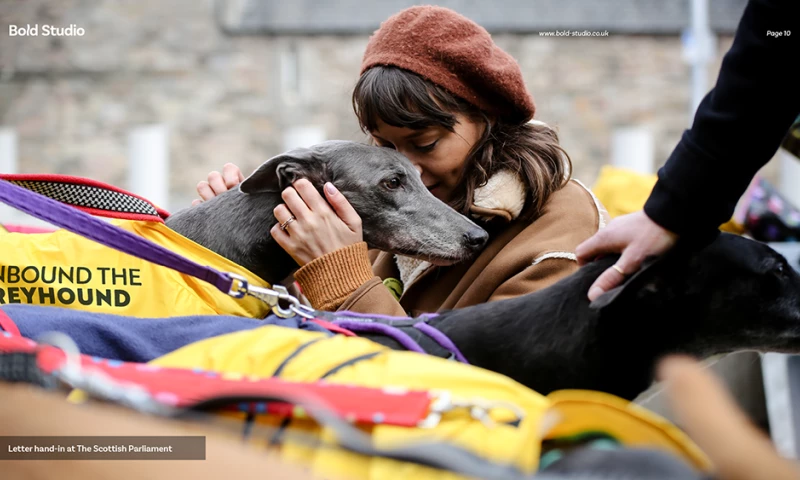 Bold Studio - Unbound the Greyhound