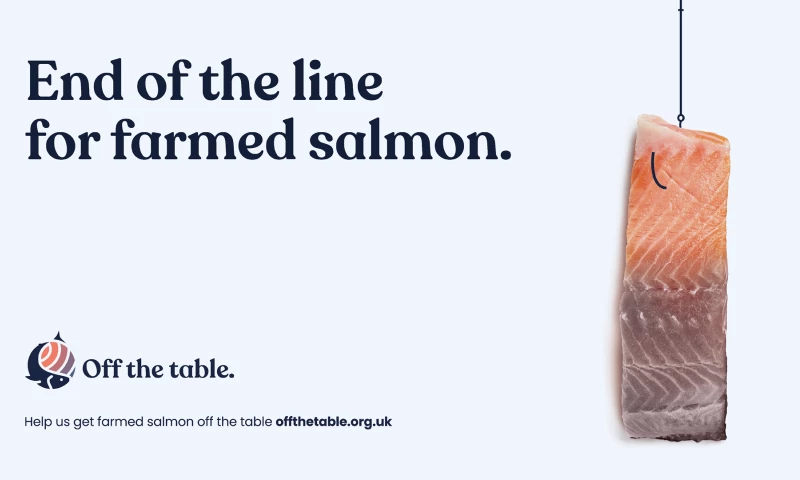 Bold Studio - Off The Table