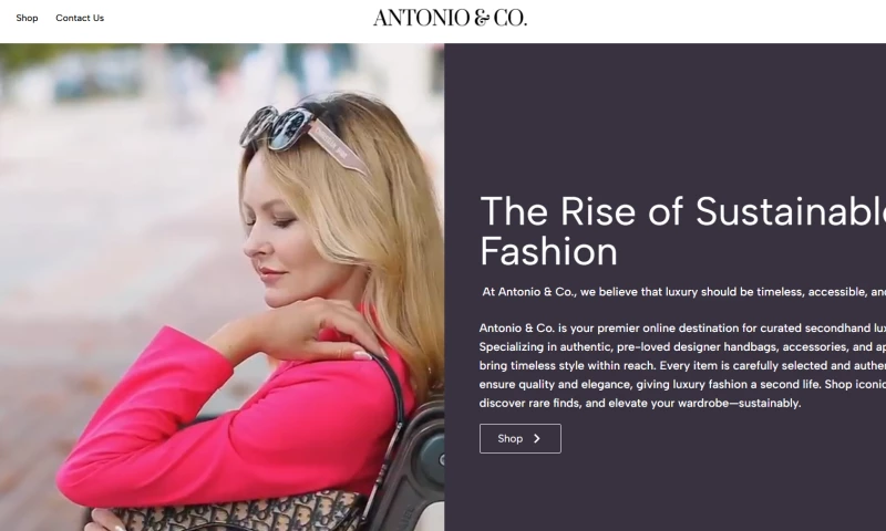 Antonio & Co. Website Development