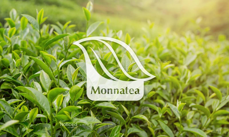 Logo Design for Moonatea Premium Tea Brand Identity