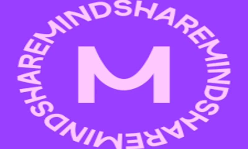 Geeks Invention LLC - Mindshare