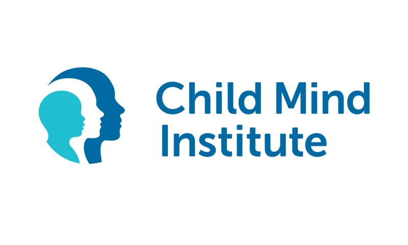 Constructive - Child Mind Institute