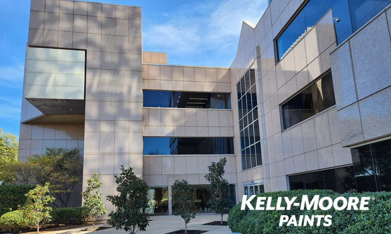 IT Audit Service for Paint Manufacturer