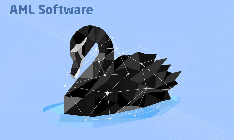 AML Software Development and Maintenance