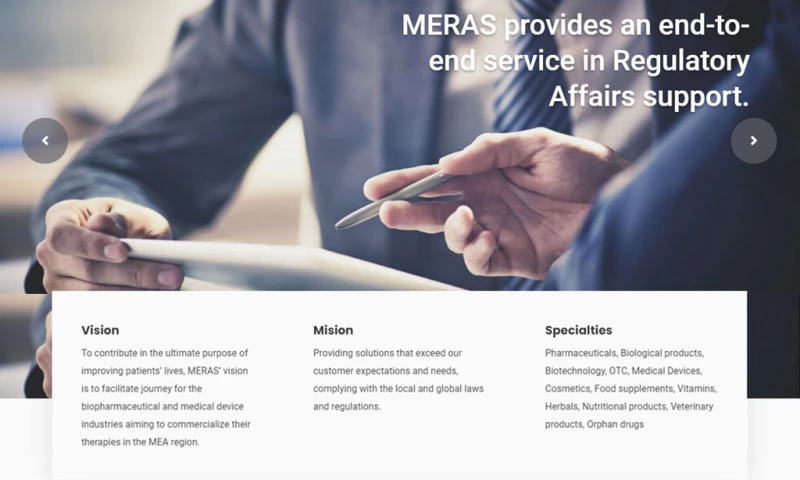 Dot IT - MERAS Consulting Website