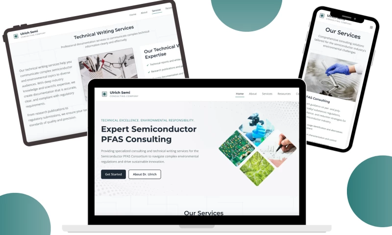 Launch Turtle - Ulrich Semi Consulting