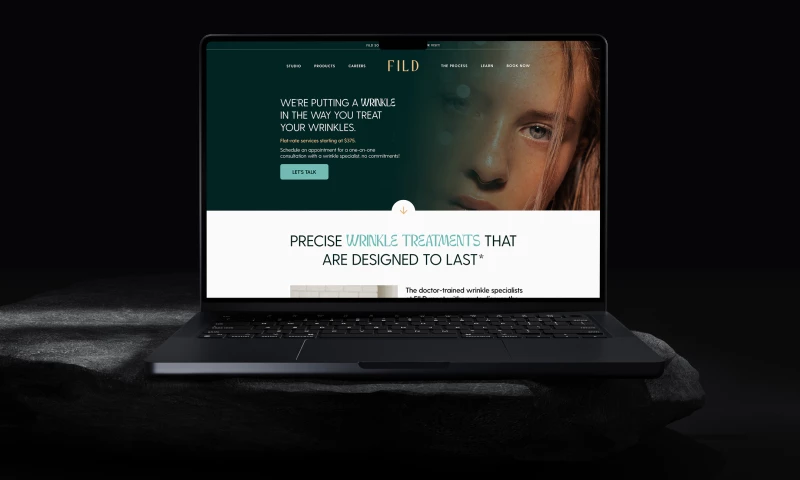 Wizdiv - FILD Studio Webflow Development Case Study