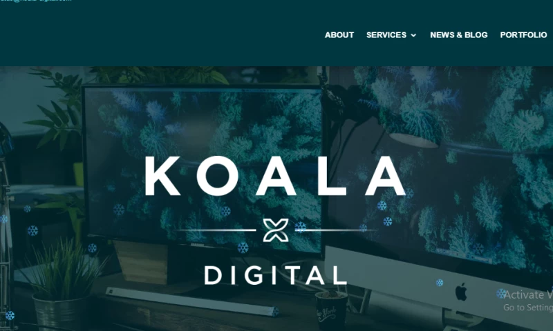 BrandingBeez - Koala Digital Dedicated Team Transformation