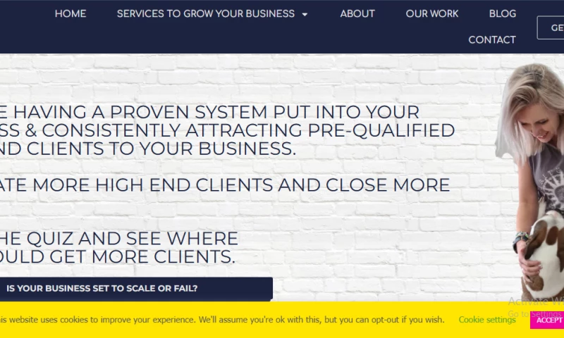 BrandingBeez - Website Architect: From Solo Founder to Scalable Web Agency