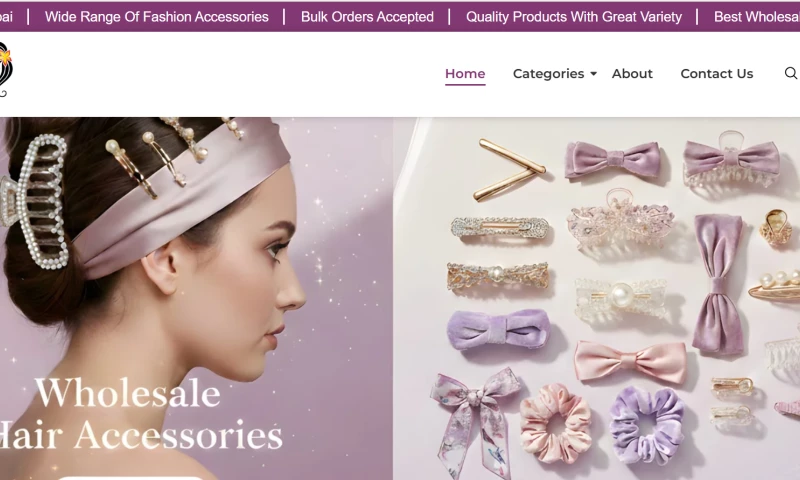 The Website Makers - Anjali art