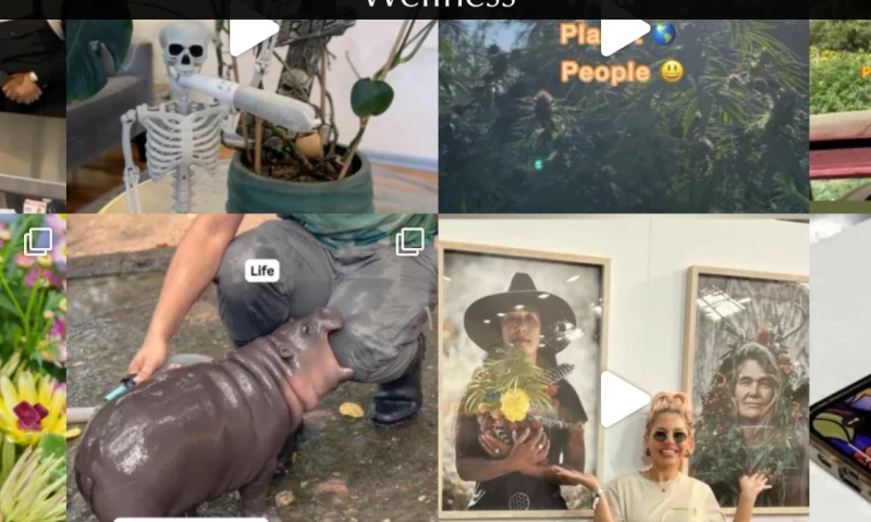 Cornerstone Collective Digital Platform