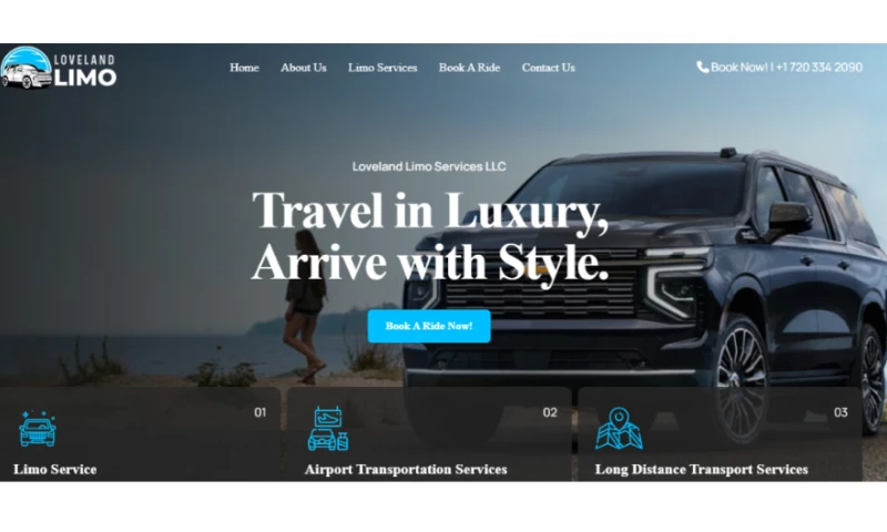 ActiveX IT Services - LoveLand Limo Services