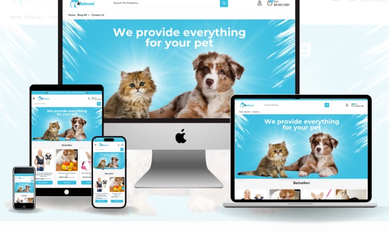 HiveNexis - Ecommerce Website Devlopment