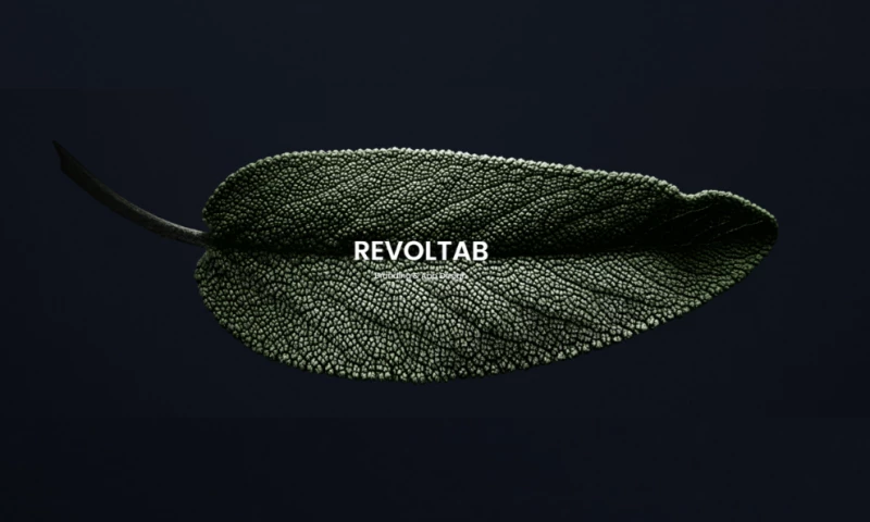 Marc Uebelhart - Revoltab