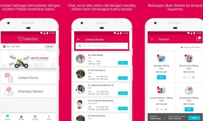 Rapidly Growing Indonesian HealthTech Platform