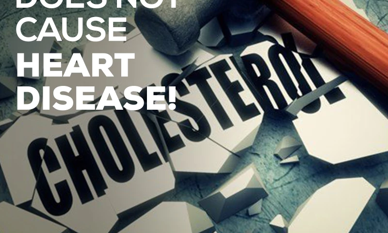 Blink Digital Consulting - Heart Fit Clinic