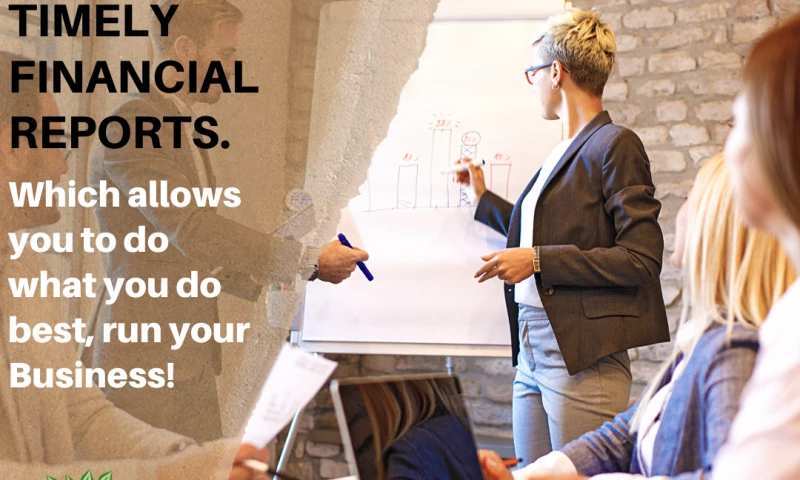 Blink Digital Consulting - Evergreen Business Solutions