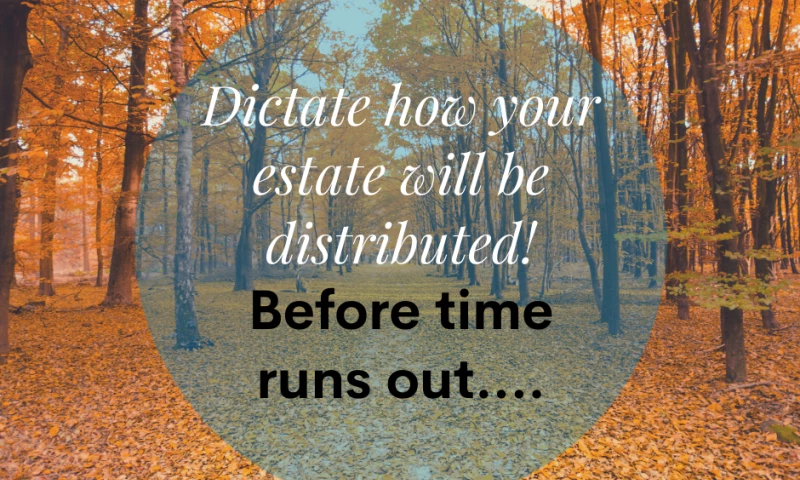 Blink Digital Consulting - Leading Edge Executor Services