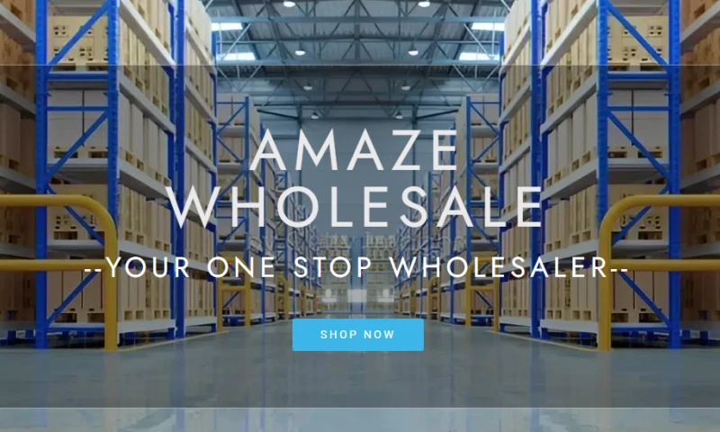 Customer Service Outsourcing & Email Mktg for AmazeWholesale Co