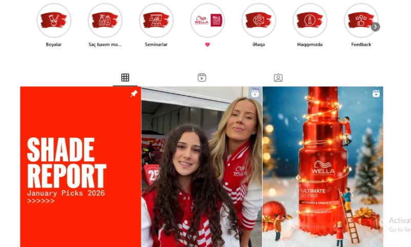 Social Media Marketing Service for Wella