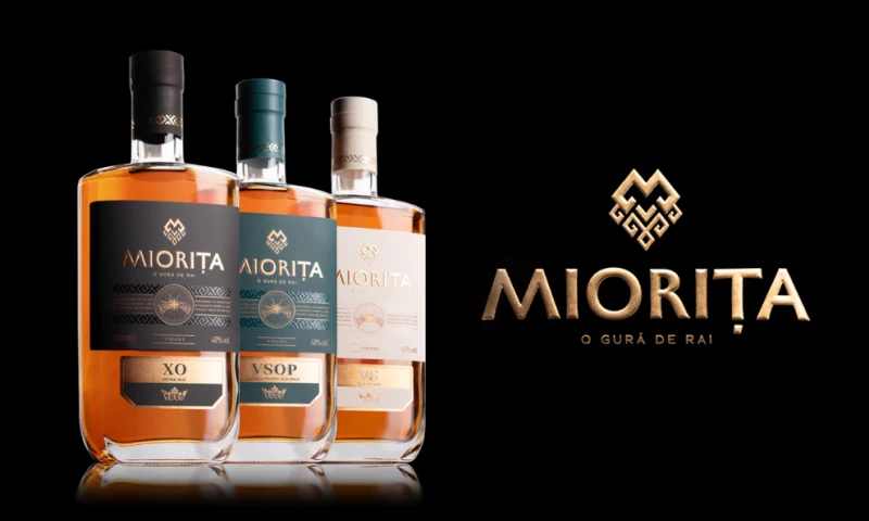 Giantpencil Design Studio - Miorita Vinars