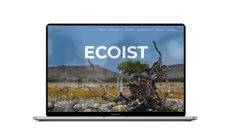 Respider - Web designing