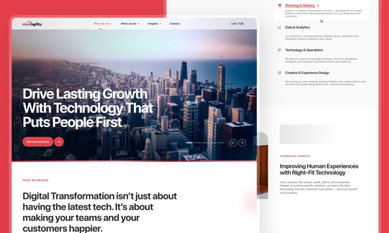 Wizdiv - MicroAgility Webflow Development