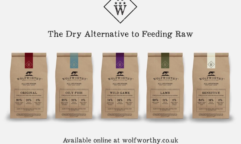 FROST CREATIVE LIMITED - UNLEASHING A CHALLENGER BRANDS FULL POTENTIAL & TRIPLE-DIGIT YOY GROWTH