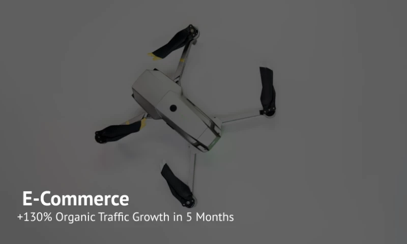+130% Organic Traffic Growth in 5 Months