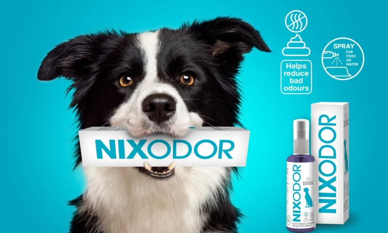 Logo Bigger - Branding Nixodor