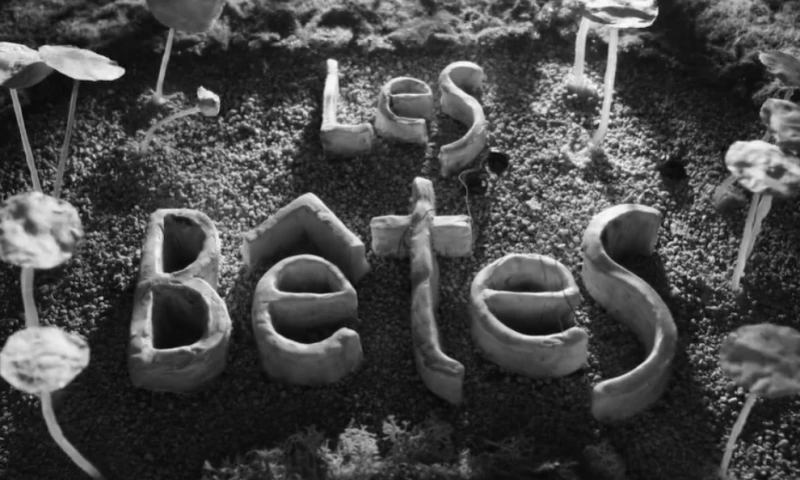 Michael Granberry - Les Bêtes