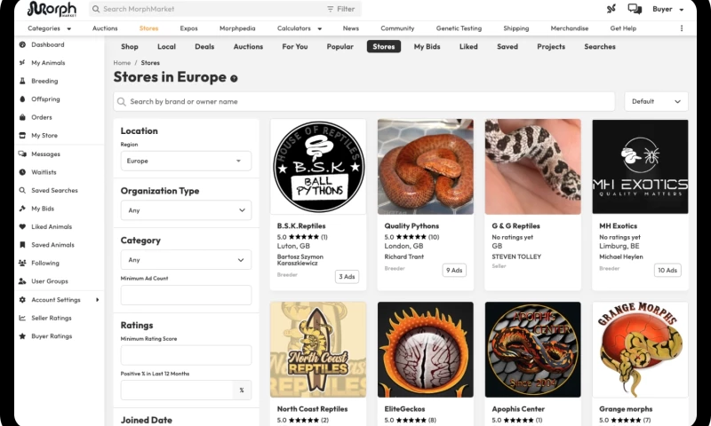 Dashbouquet Development - MorphMarket