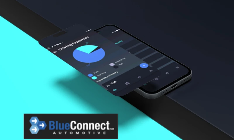 Smart Assistant to Organize Vehicle Records