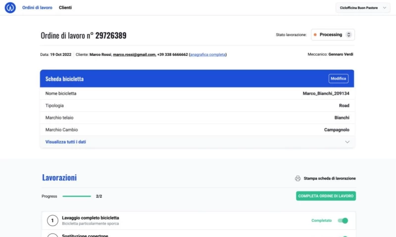 Volcanic Minds - Hawica