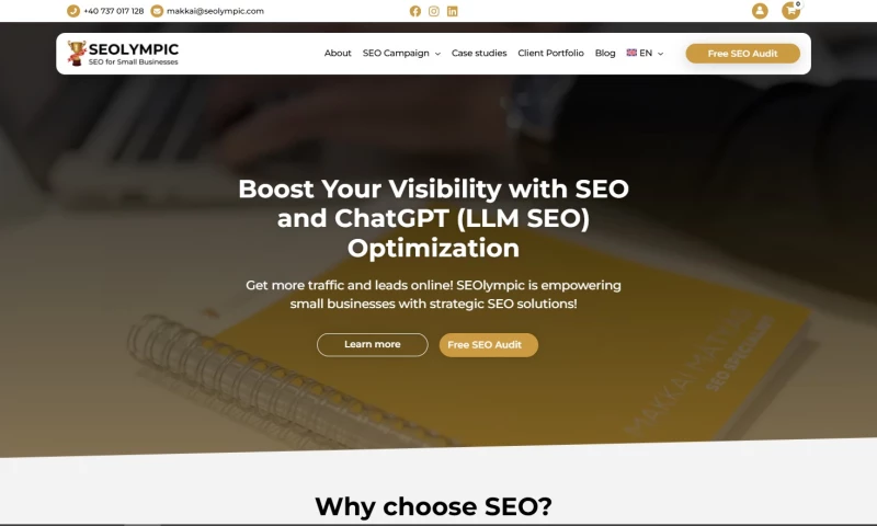 WebsitExpo - Professional Business Website for a SEO Agency