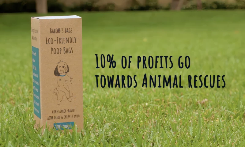 OC Videography - Commercial & Corporate Video Production