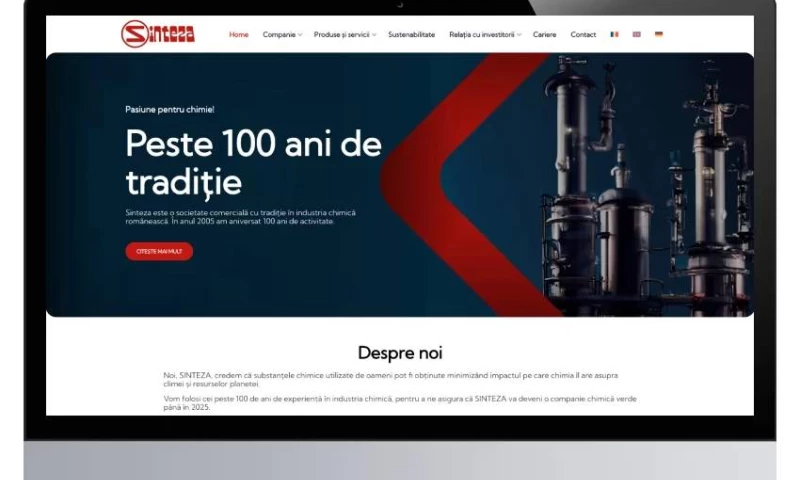 Sinteza - Web Design