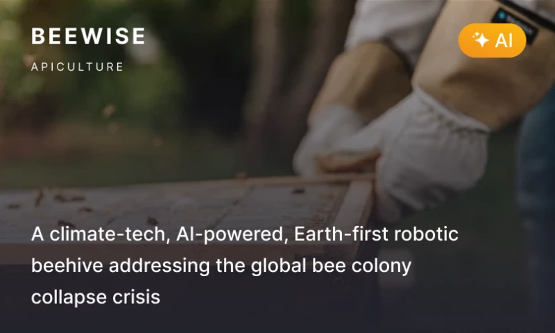 Globaldev Group - Team extension for Beewise