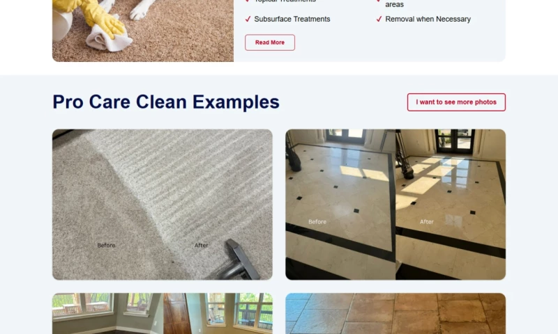 Web Designer Factory - ProCare Texas