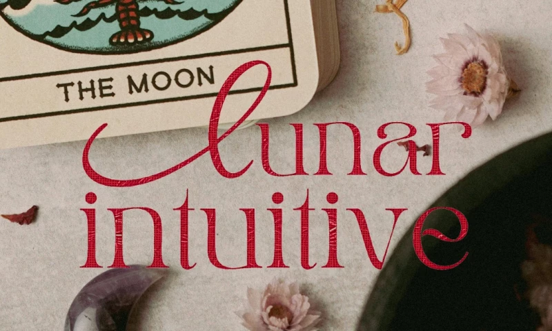 Heart & Mind Business Coaching LLC - Lunar Intuitive