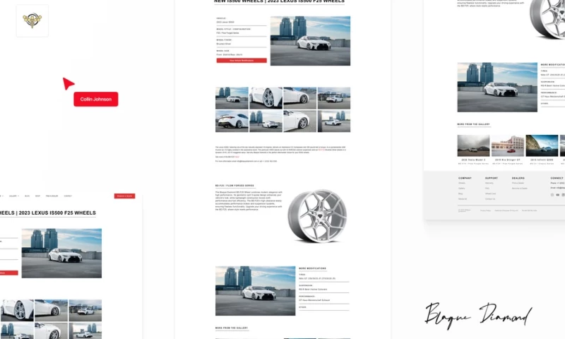 Social Swarm Marketing - Blaque Diamond Wheels