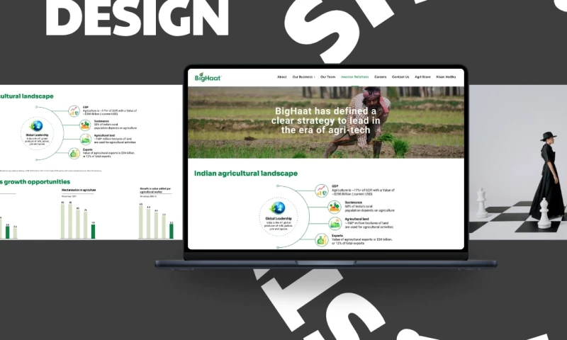 Orange MonkE - Big Haat