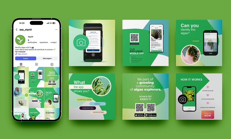 Bydas - AlgaID App - Social Media Strategy