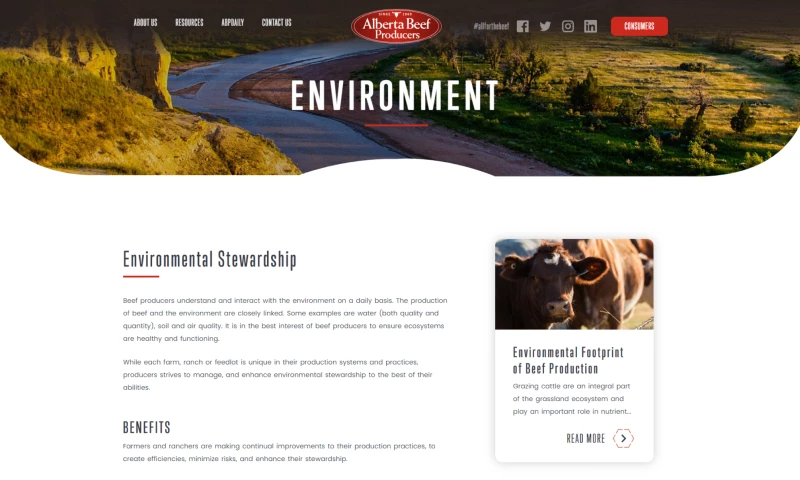 Fire Flower Developers - Alberta Beef